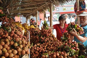 儘早為荔枝產品制定解救方案