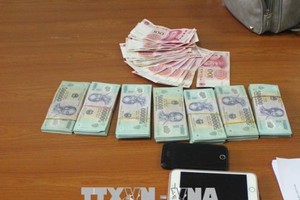 （圖源：TTXVN）