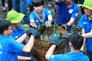 暑期志願青年參加環保活動。