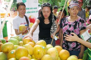 遊客在選購水果。