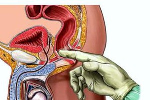 （圖源：互聯網）