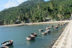 越南峴港的占婆嶼禁用塑料袋後環境變得更潔淨。