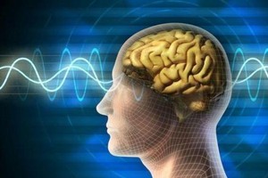 （圖源：互聯網。）