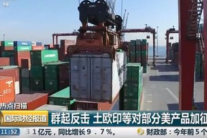 （圖源：視頻截圖）