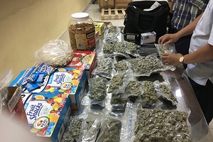 （圖源：互聯網）