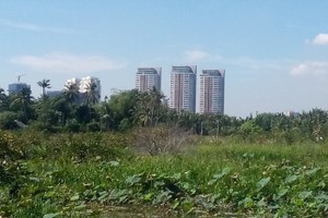 （圖源：互聯網。）