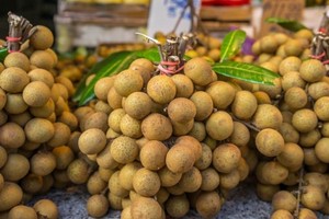 （示意圖源：互聯網）