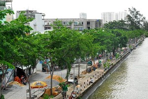 規劃公園，營造西貢河岸景觀。