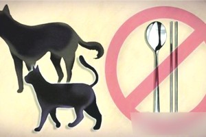 韓青瓦台關注禁食狗肉請願