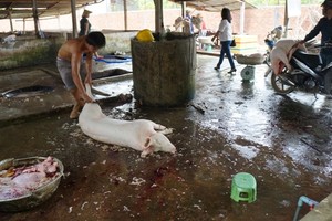 （示意圖源：互聯網。）