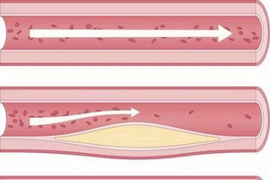（圖源：互聯網）