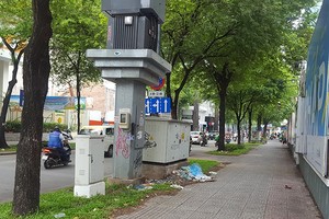 電線杆周邊仍出現亂倒垃圾、隨地小便的情況。