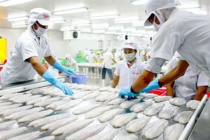 ８月份出口維持高額度增長。