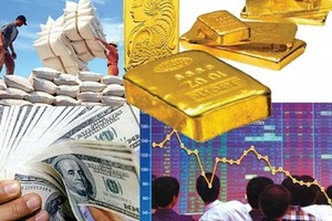 （圖源：互聯網）