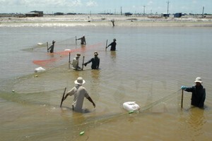 （圖源：互聯網）