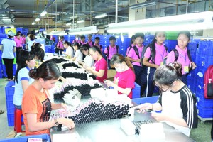 本市學生參觀華人企業天龍集團的生產線。