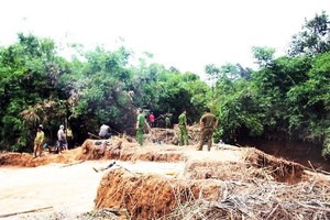 （圖源：互聯網）