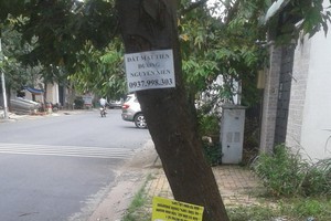 第九郡D2街人行道樹身上掛滿廣告單張。