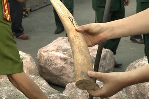 （圖源：互聯網）