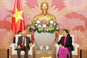 國會常務副主席從氏放昨(26)日下午在河內接見了聯合國常駐越南協調員兼聯合國開發計劃駐越首席代表卡瑪勒‧馬特拉（圖源:TTXVN）