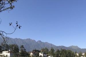 （圖源：互聯網）