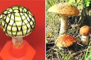 磨姑發電成綠色新能源