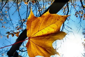 （圖源：互聯網。）