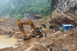 （圖源：互聯網。）