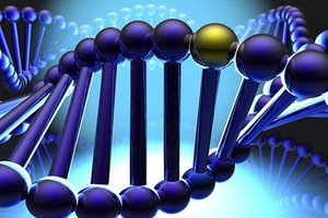 （圖源：互聯網）