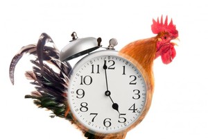 （示意圖源：互聯網）