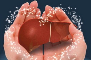 （示意圖源：互聯網）