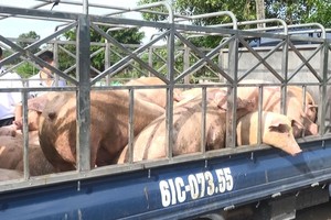 （圖源：互聯網）