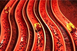 （圖源：互聯網）