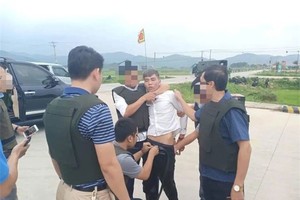 （圖源：互聯網）