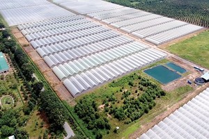 范文蓋鄉的大面積果蔬種植區可以發展成為體驗與野外旅遊。