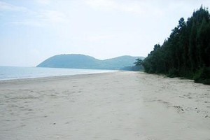 （示意圖源：互聯網）