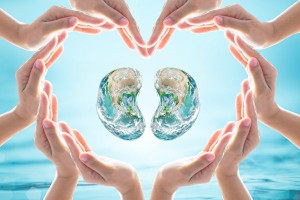 護腎，從控好血脂開始