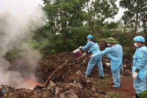 （圖源：互聯網）