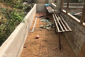 （圖源：互聯網）