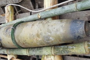 田裡驚現凝固汽油彈