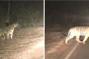 （圖源：互聯網）