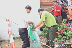 （圖源：互聯網）