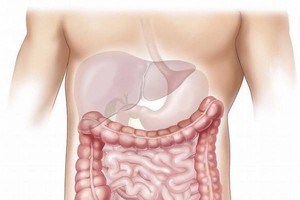 （圖源：互聯網）