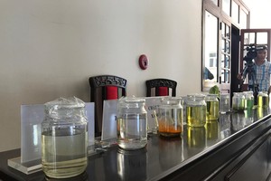 沒收調和假汽油的工具。（圖源：tuoitre.vn）