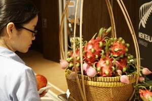 新西蘭協助我國培育火龍果新品種
