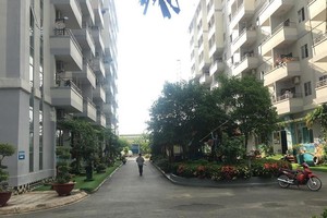 公寓周圍是綠樹空間。