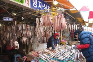 韓國最大的扎嘎其魚市。