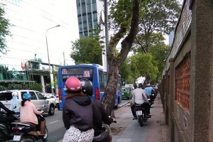 須懲處在人行道上騎摩托車者
