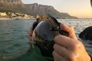 （圖源：互聯網） 