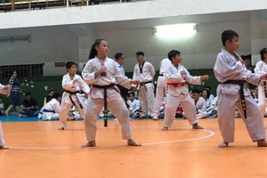 來自第五郡各跆拳道俱樂部的250多名學生參加比賽